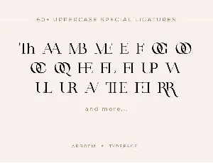 Arroem - Serif Display Font