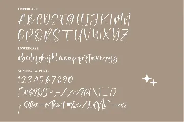 Montana Bright Modern Signature font