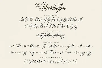 The Bloomington font