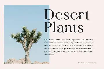 Roserri - Modern Ligature Serif font