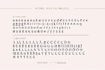 Roserri - Modern Ligature Serif font