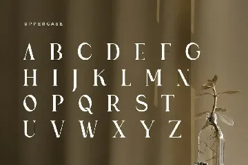 Ramole - Elegant Modern Serif Font