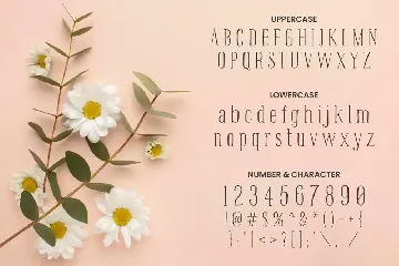 Prairie Life - Girly Font