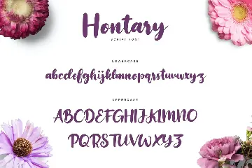 Hontary Font