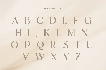 Famous - Modern Feminine Beauty Font