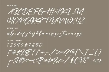 Kastelo Southern Calligraphy Brush Font