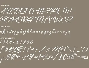 Kastelo Southern Calligraphy Brush Font