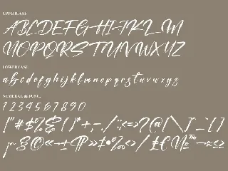 Kastelo Southern Calligraphy Brush Font