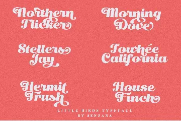 Little Birds Script font