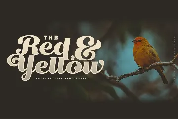 Little Birds Script font