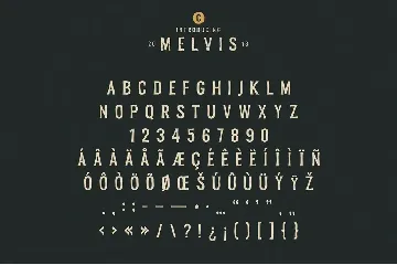 Melvis - Vintage Font Family