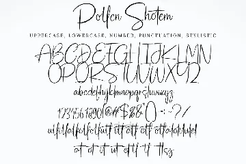 Pollen Shotem font