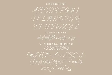 Delmate Fasteria Modern Signature Font