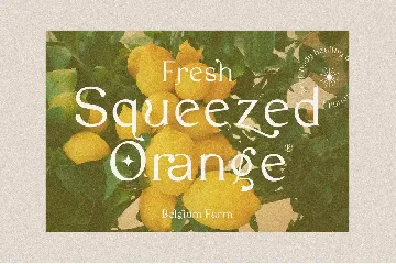 Garlich Grow - Trendy Modern Serif font