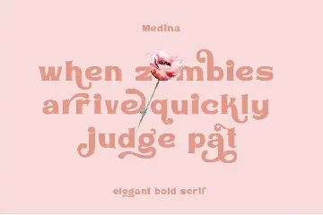 Medin - Elegant Font Serif