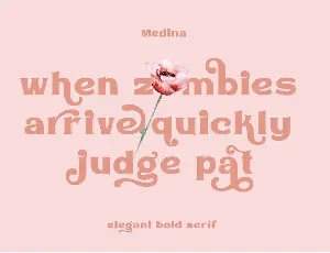 Medin - Elegant Font Serif