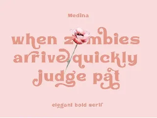 Medin - Elegant Font Serif