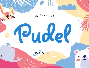 Pudel Display Font