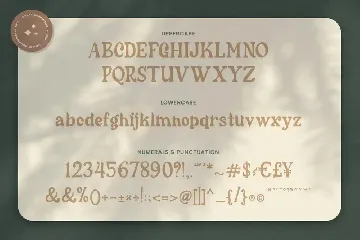 Cherly Blossom Modern Chic Serif font