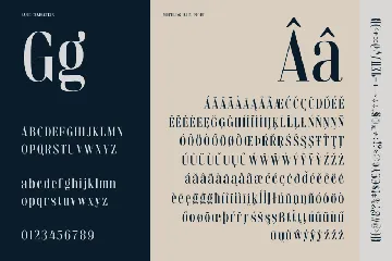 Elegant Fashion Font