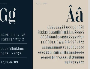 Elegant Fashion Font