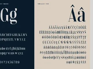 Elegant Fashion Font