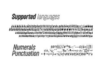 Roundkey Soft Version font