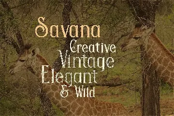 Savana - Display Font