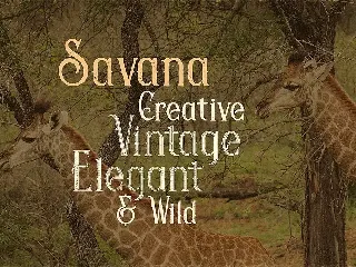 Savana - Display Font