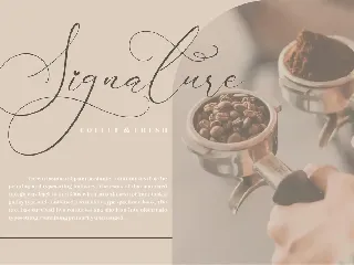 Darling Carlina Calligraphy Font