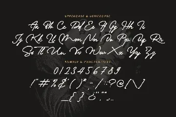 Signamaestro - Stylish Signature font