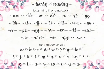 Harry sunday - Script Font