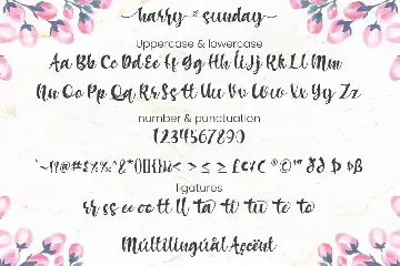 Harry sunday - Script Font