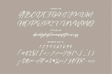 Cantika Foster Modern Signature Font