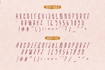 Quiddity Playful Font