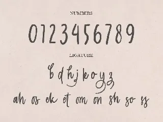 Langgom - Curly Unique Handwritten Font