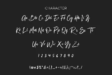 Christine Brush Typeface font