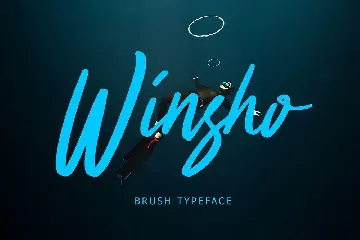 Winsho Brush Typeface font