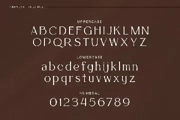 Carvest - Elegant & Modern Sans Serif font