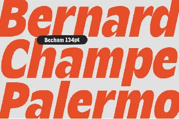 Becham - Bold Sans Serif font