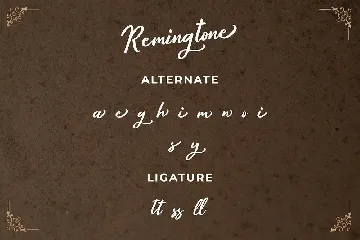 Remingtone Beautiful Calligraphy Font