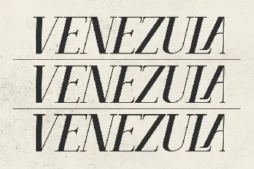 Venezula Stylish Serif Font