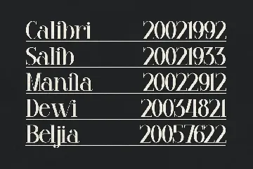 Venezula Stylish Serif Font