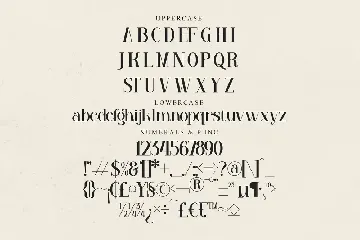 Venezula Stylish Serif Font