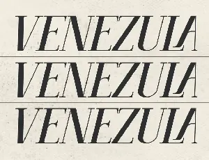 Venezula Stylish Serif Font