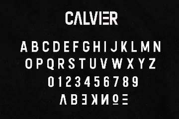 Calvier - Headline Sans Family font