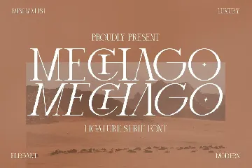 Mechago Stylish Serif Font