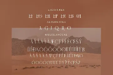 Mechago Stylish Serif Font