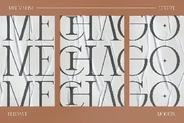 Mechago Stylish Serif Font