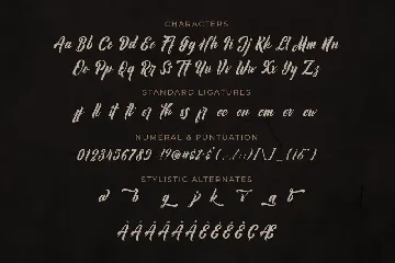 Plankiss Logotype Font